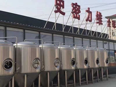 休宁精酿啤酒设备厂—如何判断精酿啤酒设备的密封件需要更换？